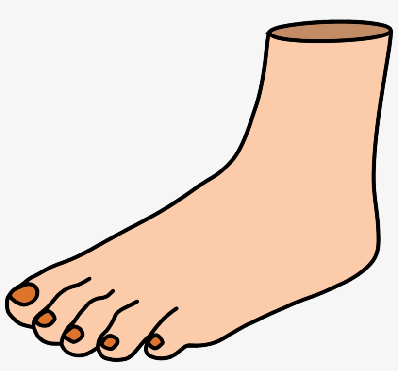 Measure Your Feet Day Chicken Feet Clip Art PNG Image Transparent