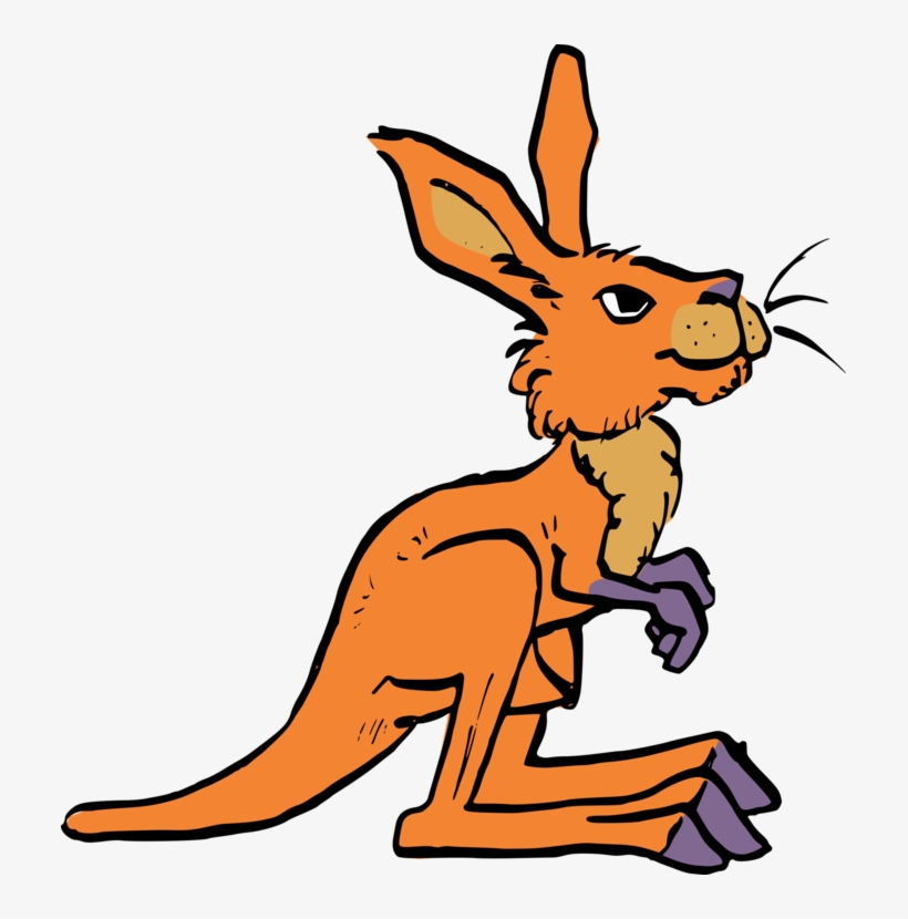 Kangaroo Rat Macropods Tail Drawing - Kangaroo, transparent png download