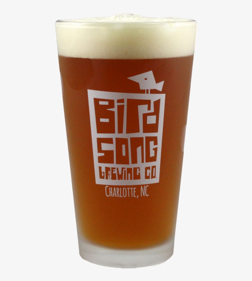 Higher Ground - Beer, transparent png download