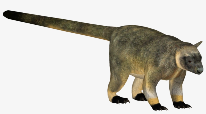 Lumholtzstreekangaroo Tamara Henson - Cat Jumps, transparent png download