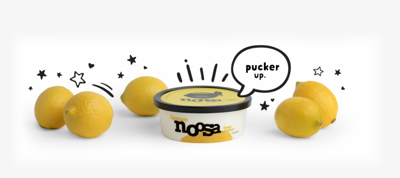 Best In Zest - Noosa Blueberry Yogurt - 8 Oz Cup, transparent png download