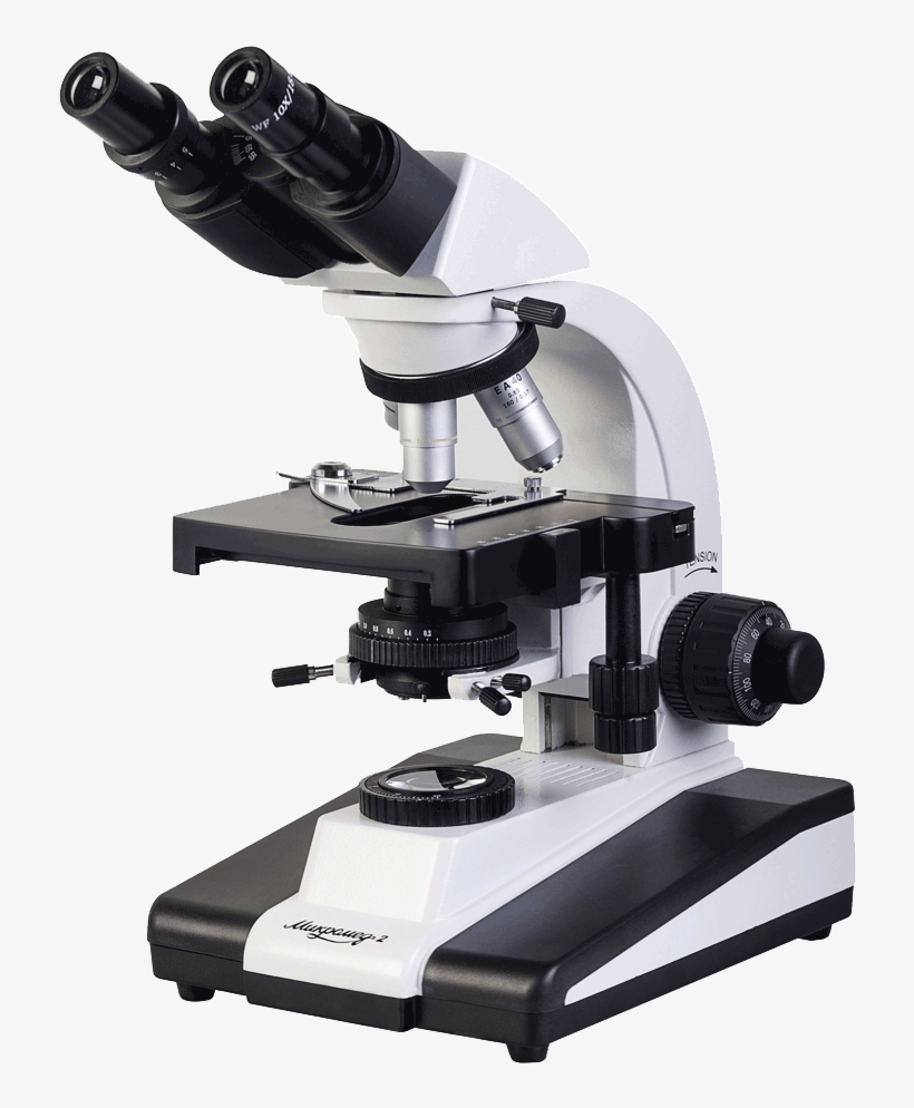 Microscope Png, transparent png download