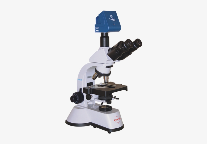Microscope Png - Png Images Of Microscope, transparent png download