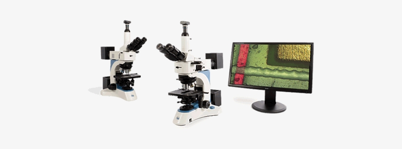 High Quality Metallurgical Microscopes - Microscope, transparent png download