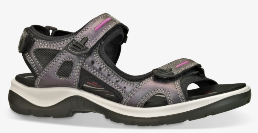 Fisherman Sandal, transparent png download