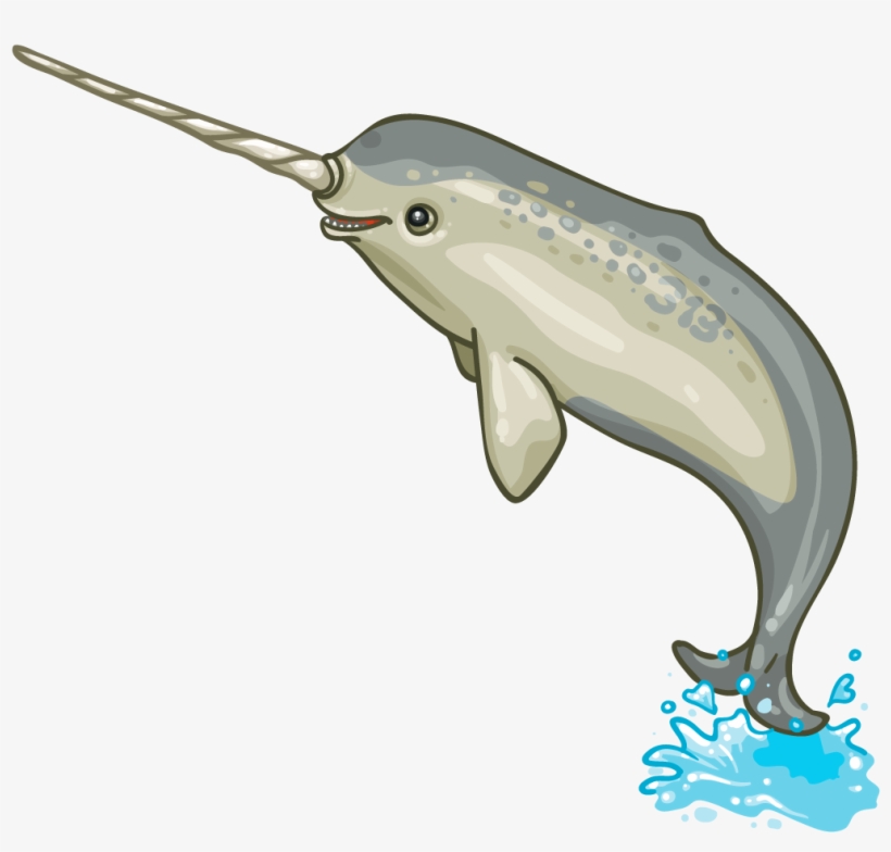 Norman The Narwhal - Narwhal, transparent png download