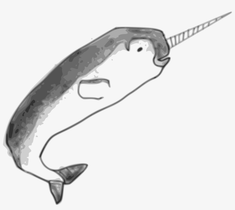 Png Library Stock Big Image Png - Png Narwhal, transparent png download