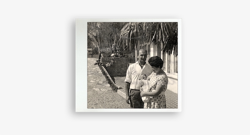 Marco Got The Tall Palm At The Entrance Of The House, - Snapshot, transparent png download