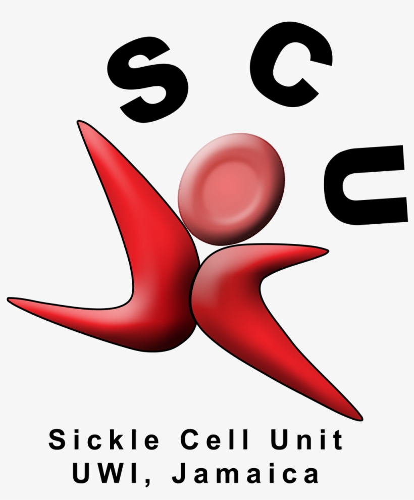 The Sickle Cell Unit Is A Research Institution - Research Institute, transparent png download