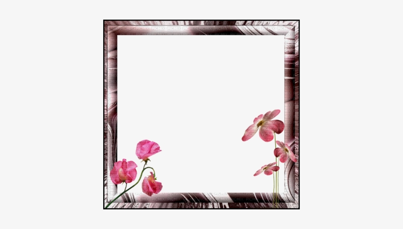 Dulcineia8 Molduras - Picture Frame, transparent png download