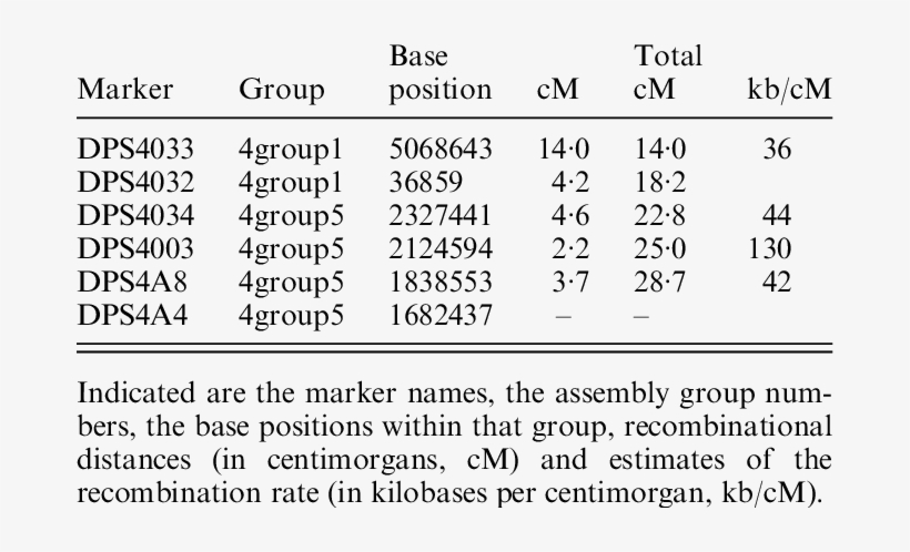 Linkage Map Of The Drosophila Pseudoobscura Fourth - Lorem Ipsum, transparent png download