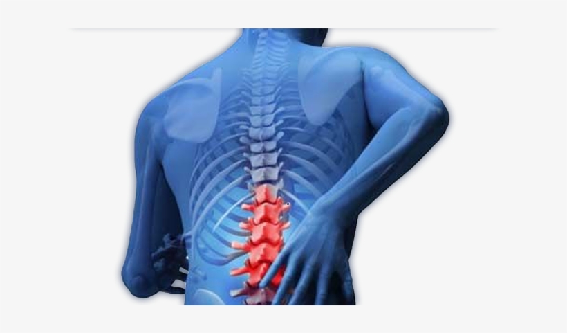 Lasting Pain Solutions - Back Pain In A Day, transparent png download