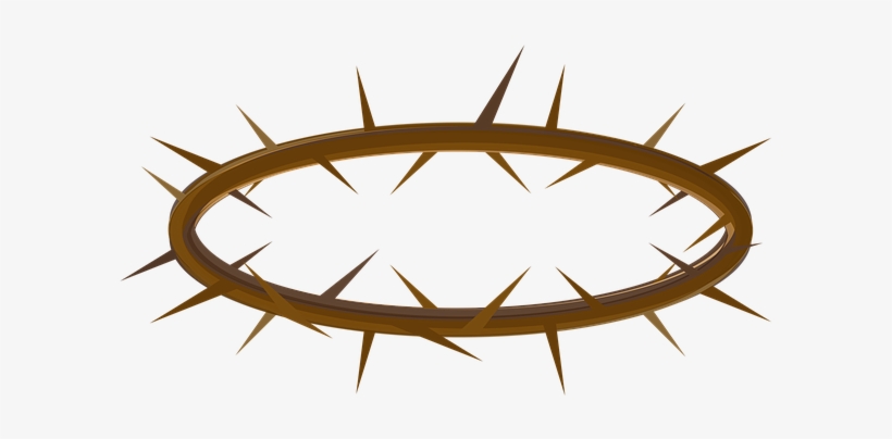 Corona Spine Png - Crown Of Thorns, transparent png download