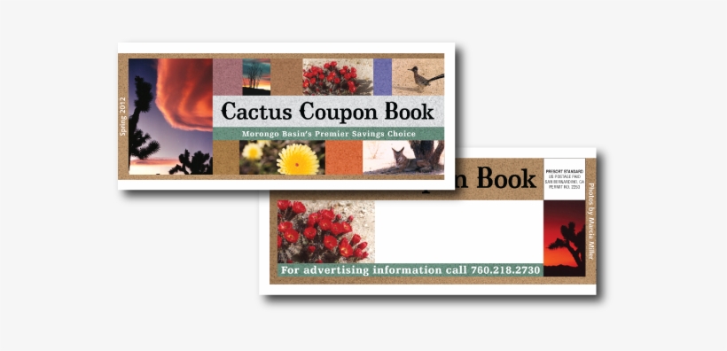 Has Been A Staple In Mexican And Central American Dietary - Chrysanths, transparent png download