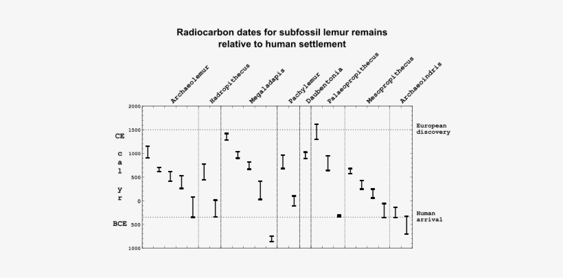 Subfossil Lemur Graph - Mass Extinction Current Background Rate Of Extinctions, transparent png download