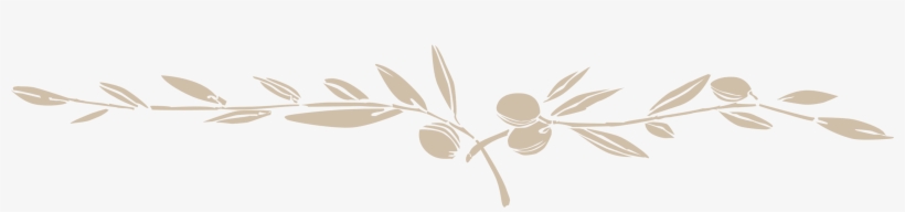 Hacienda De Medina, Una Hacienda De Olivar - Cenefas Para Bodas Png, transparent png download