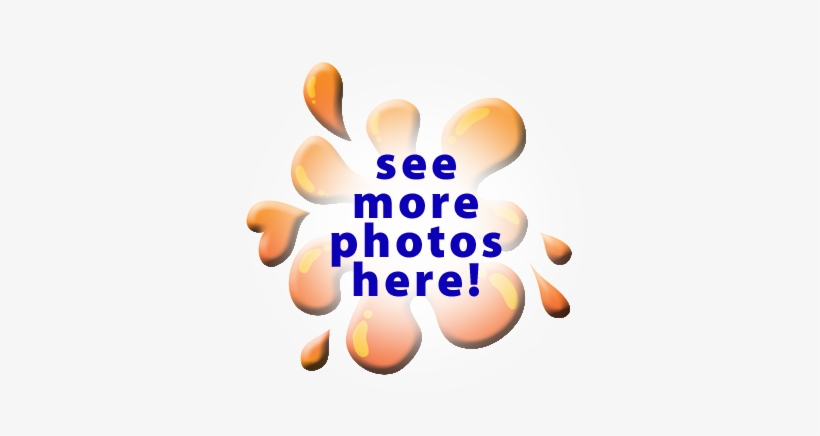 We Also Proudly Offer, transparent png download