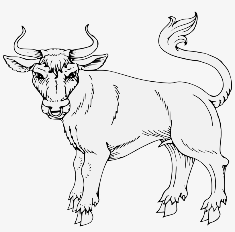 Bull Statant Guardant - Illustration, transparent png download