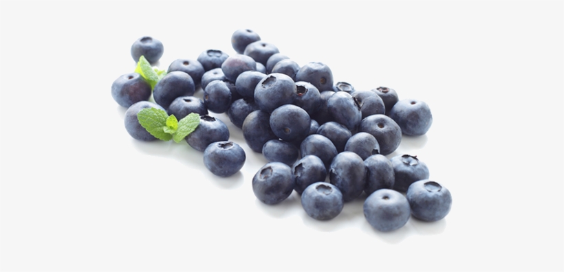 Clip Black And White Stock Blueberry Png Images Transparent - Blue Berry Png, transparent png download