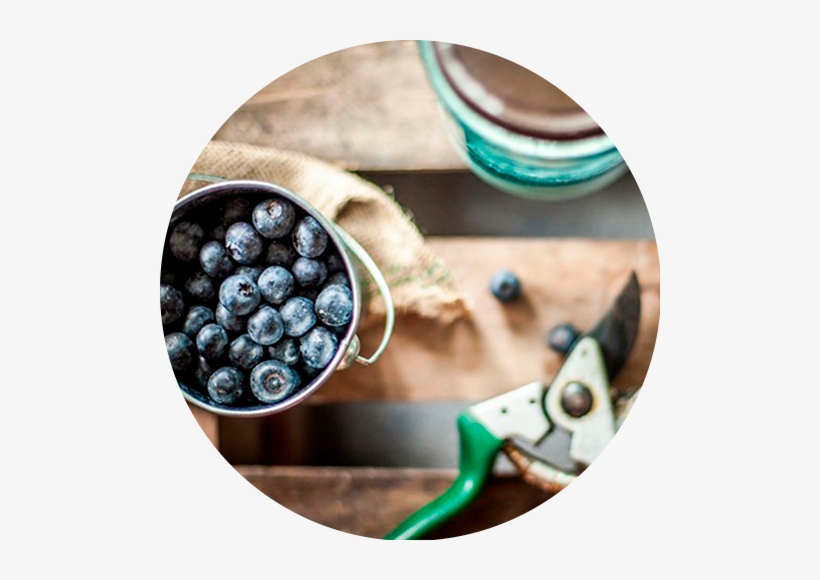 Berryco Our Story Circle - Portable Network Graphics, transparent png download