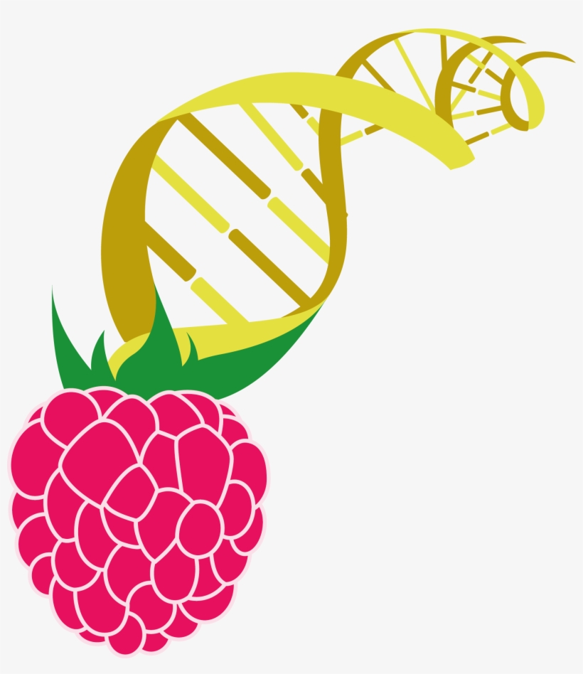 Plants Synthesize A Staggering Variety Of Secondary - Logo Berry, transparent png download