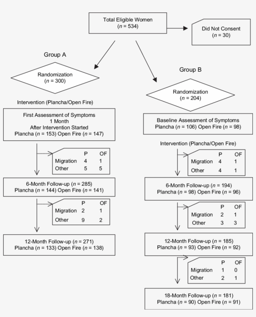 Distribution Of The Study Population From Baseline - Diagram, transparent png download