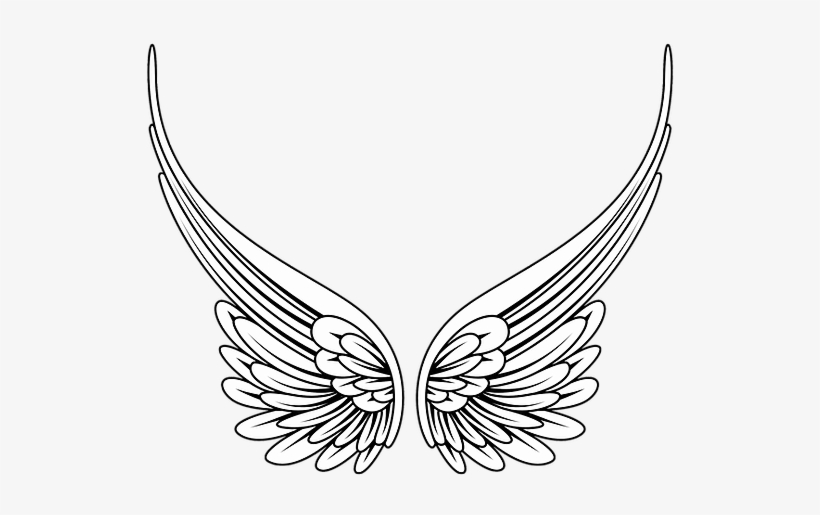 Shekinaspeaks In The Blue Ray Transmissions For The - Angel Wing Clipart Png, transparent png download