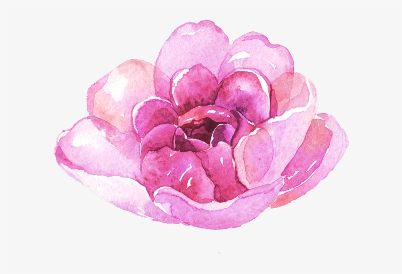 Watercolor Painting, transparent png download