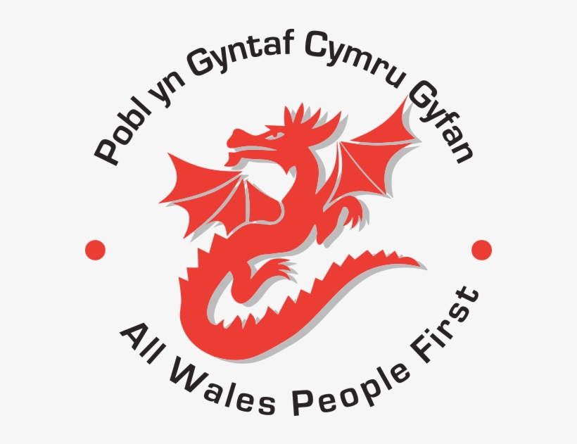 All Wales People First - Black Dragon Queen Duvet, transparent png download