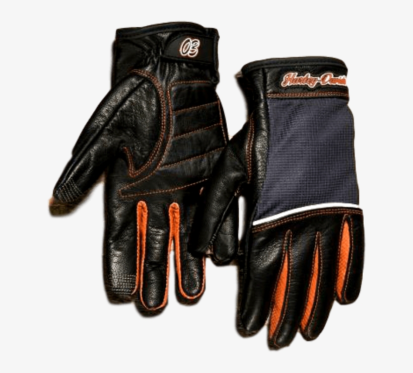 Women's Cora Leather & Mesh Full-finger Gloves - Leather, transparent png download
