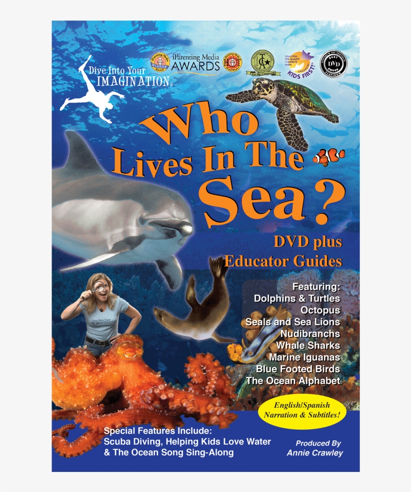 Who Lives In The Sea Dvd - Great White Shark, transparent png download