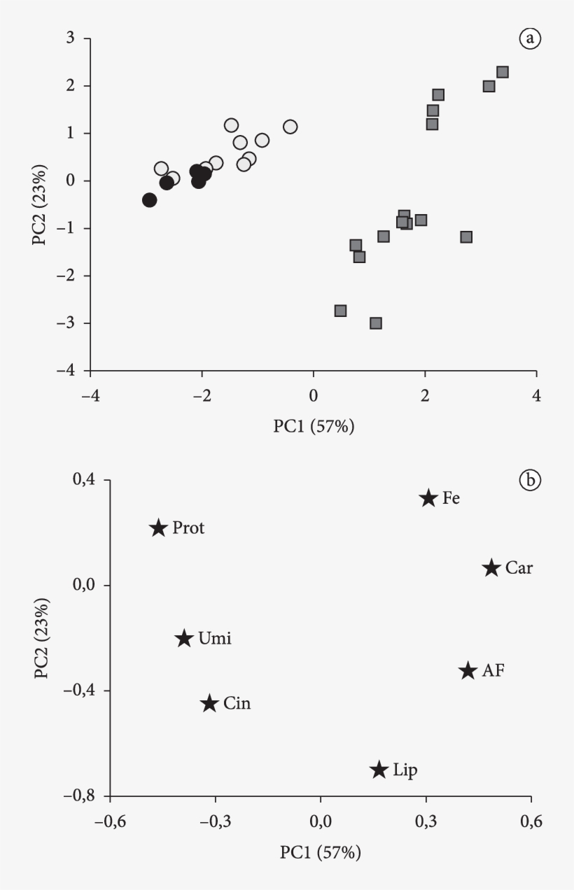 Gráficos De A) Scores E B) Loadings - Scientific Diagram, transparent png download