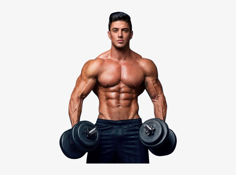 The Personal Trainers Have Formal Education In Areas - Gym Boy Png Hd, transparent png download