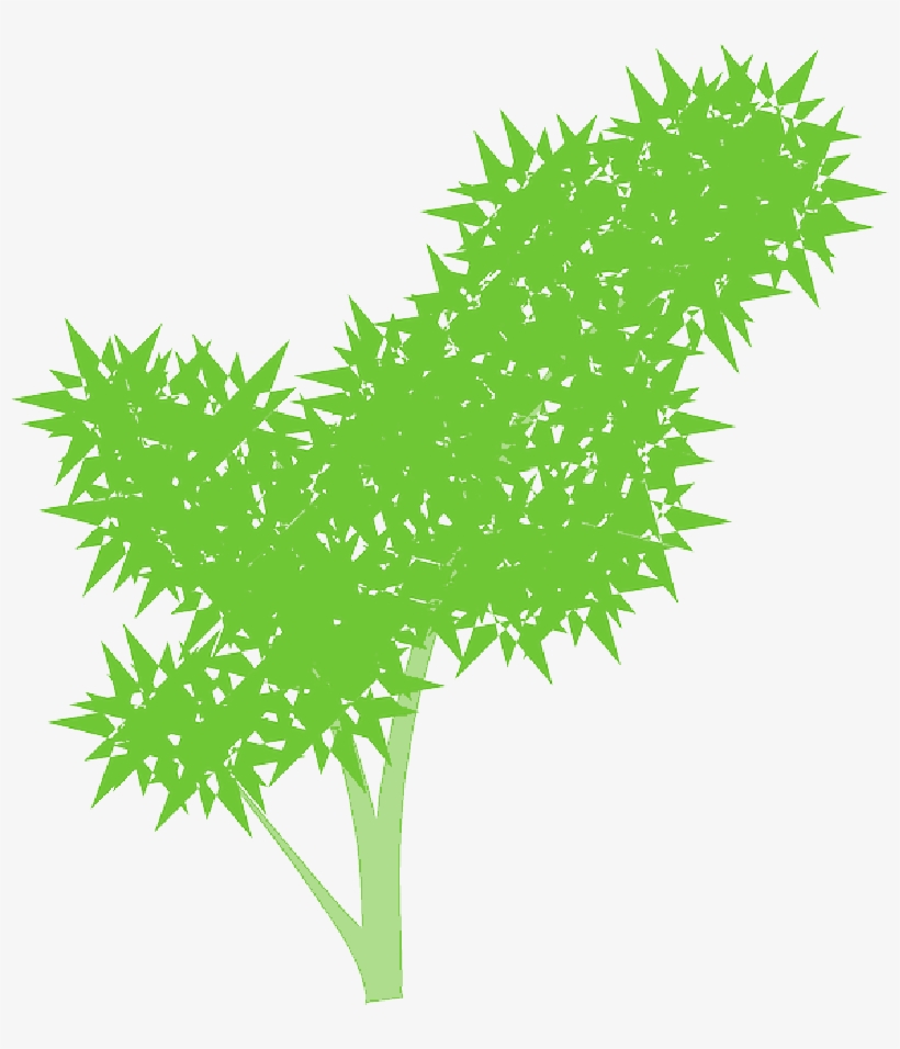 Mb Image/png - Fir, transparent png download