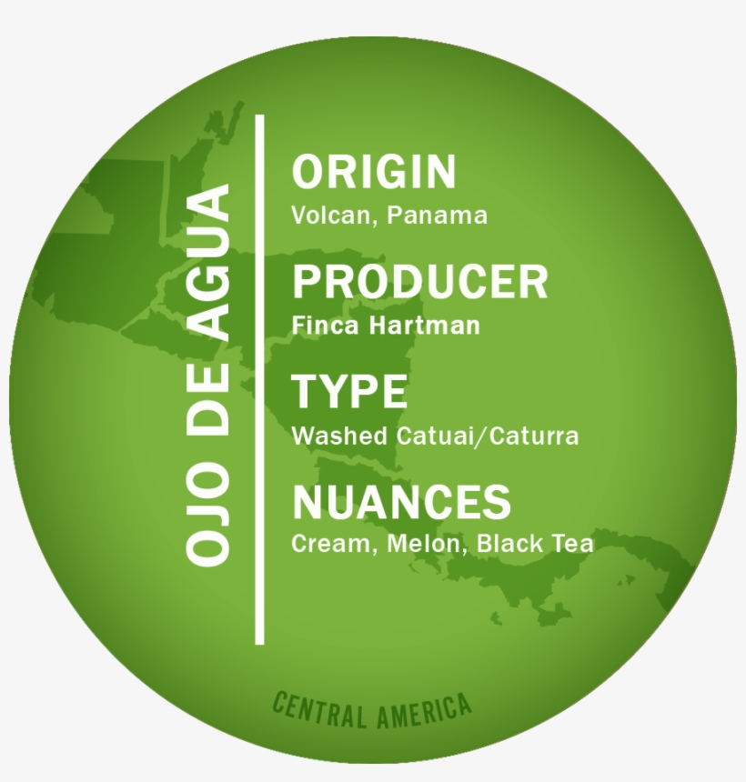 Shop - Novo Coffee, transparent png download