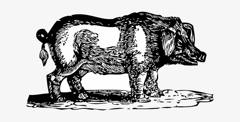 Outline, Farm, Pig, Wild, Hog, Animal, Mammal, Dirty - Hog Clip Art, transparent png download