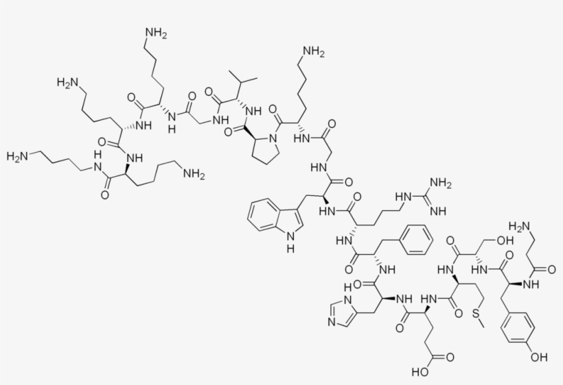320 × 204 Pixels - Tetracosactide, transparent png download