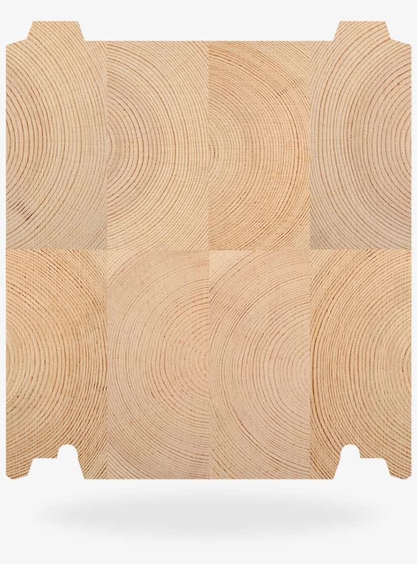 Cross Section Of Log - Chair, transparent png download