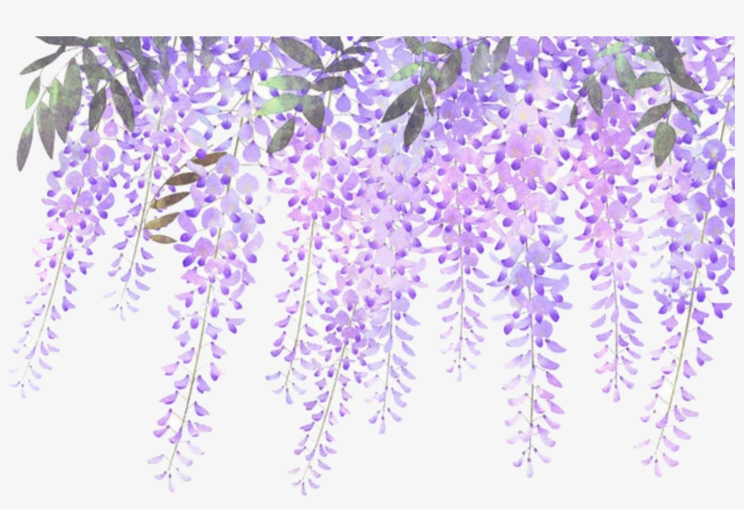 Report Abuse - Lavender Flower Border Png, transparent png download