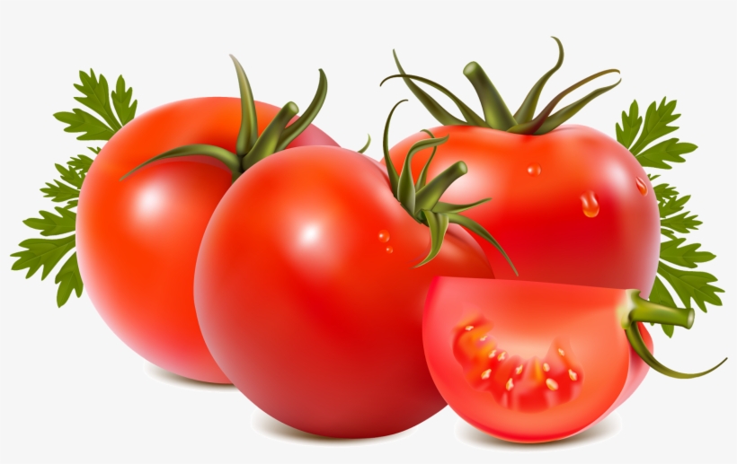 Everyday Life, Tomato And Kidney Stone - Tomato Png, transparent png download