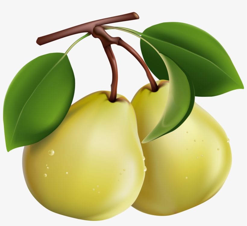 Pear - Clipart Images Of Pears, transparent png download