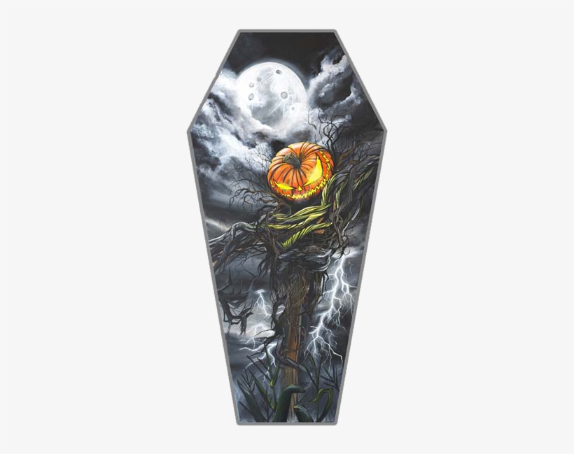 Studio Hadley, transparent png download