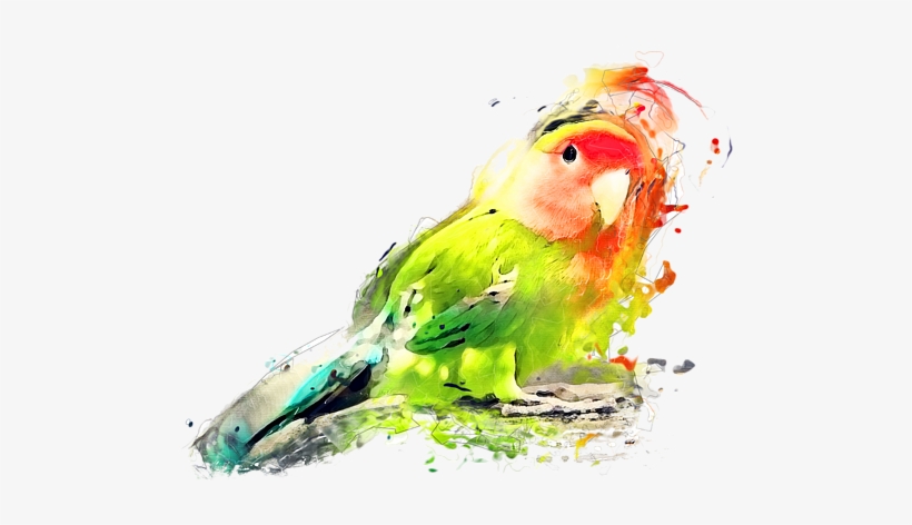 Lovebird Painting Onesie For Sale By Justyna - Love Birds Watecolour Paintings, transparent png download