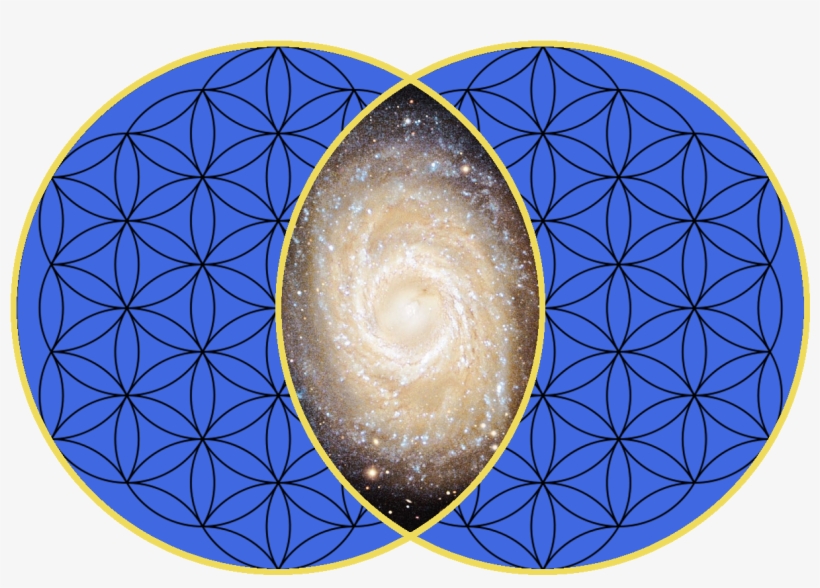 Big Vesica Piscis Flower Of Life Royal Blue Galaxy-3 - We In The Universe, transparent png download