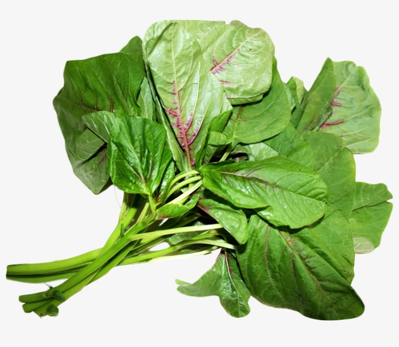 Amaranth Leaves Png Image - Amaranth Leaves Png, transparent png download