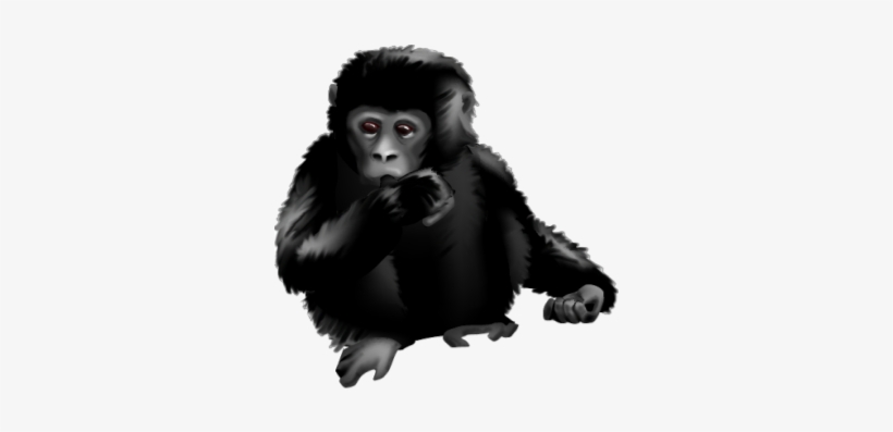 Gorilla - Baby - Macaque, transparent png download