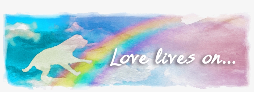Rainbowdog1 - Graphic Design, transparent png download