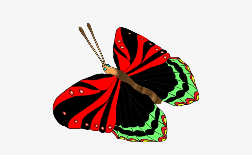 Colorful Butterflies Image - Butterfly, transparent png download