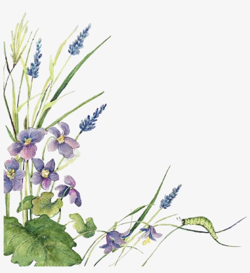 Ftestickers Watercolor Flowers Border Lavender - Twitter, transparent png download