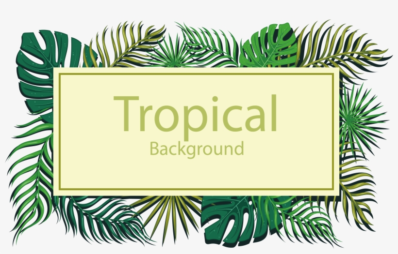 Tropics Euclidean Vector Leaf - Leaf, transparent png download
